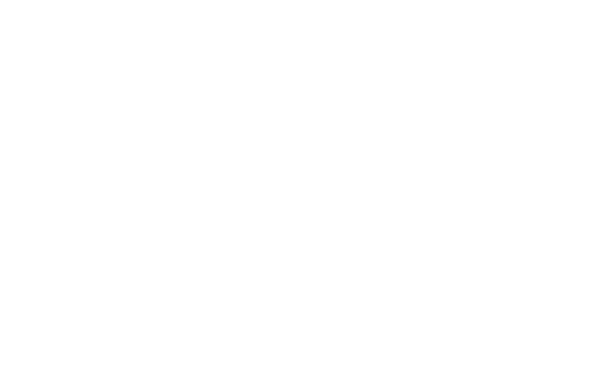 Logo du logiciel Veasy